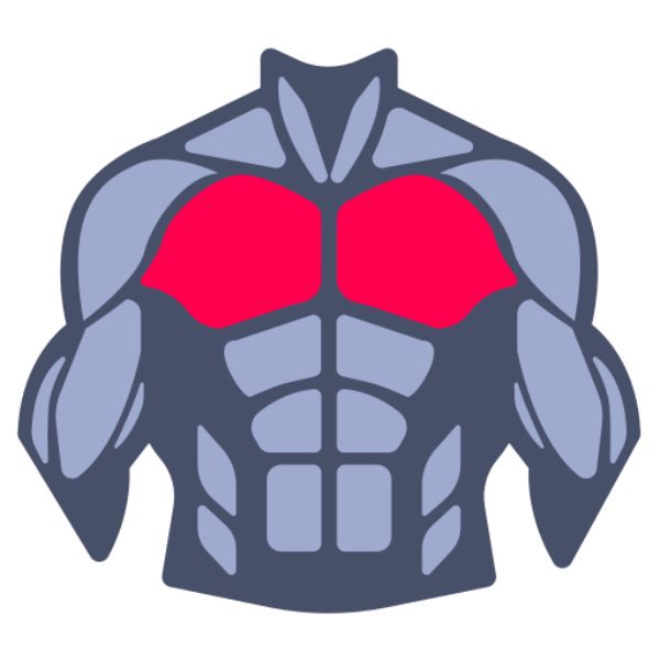 chest