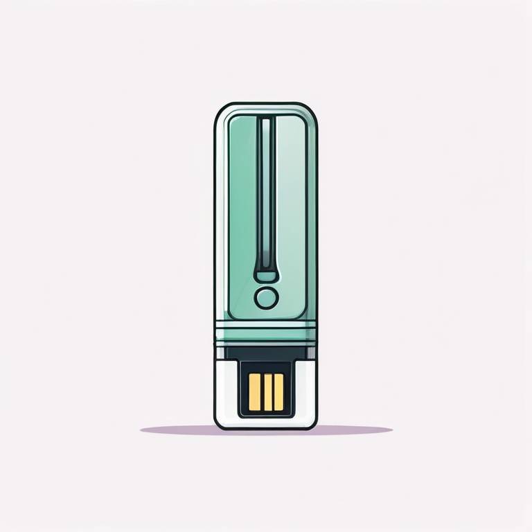 flash drive