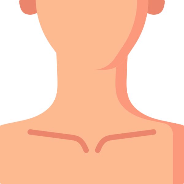 neck