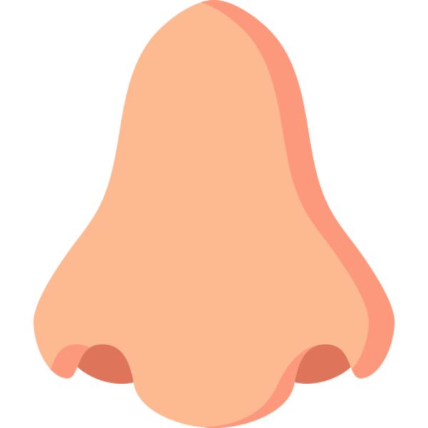 nose