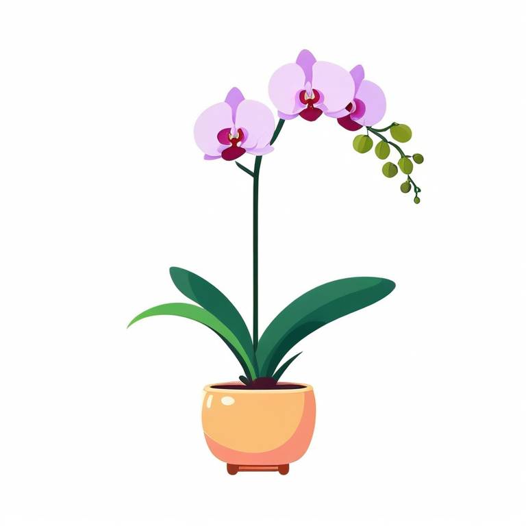 orchid